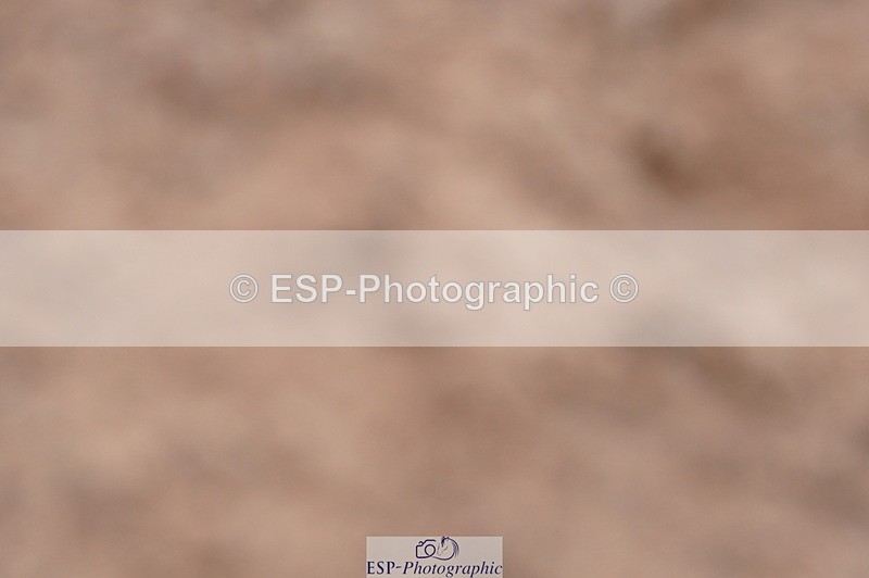 240720A-110516-14263 - Cls 3, 3 Star Small Tour 1.40m