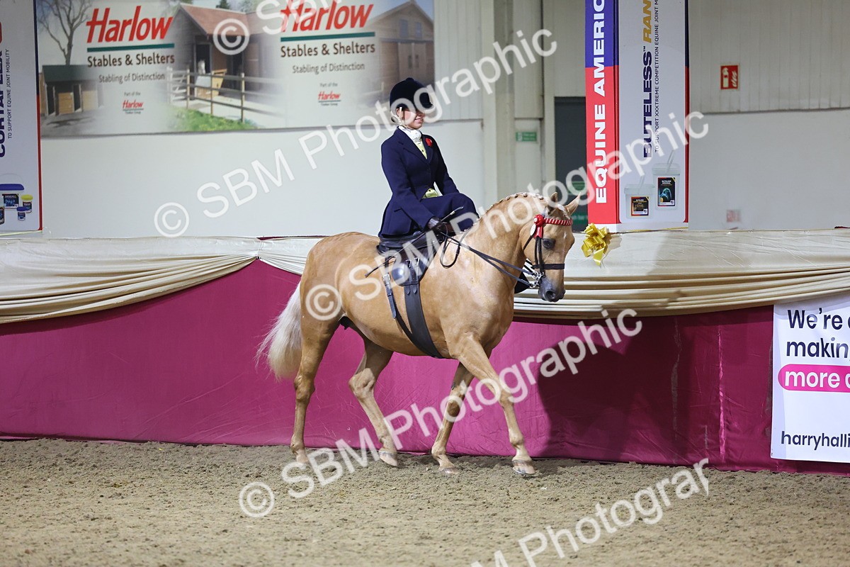 0B8A4230 - Class L Side Saddle Champ