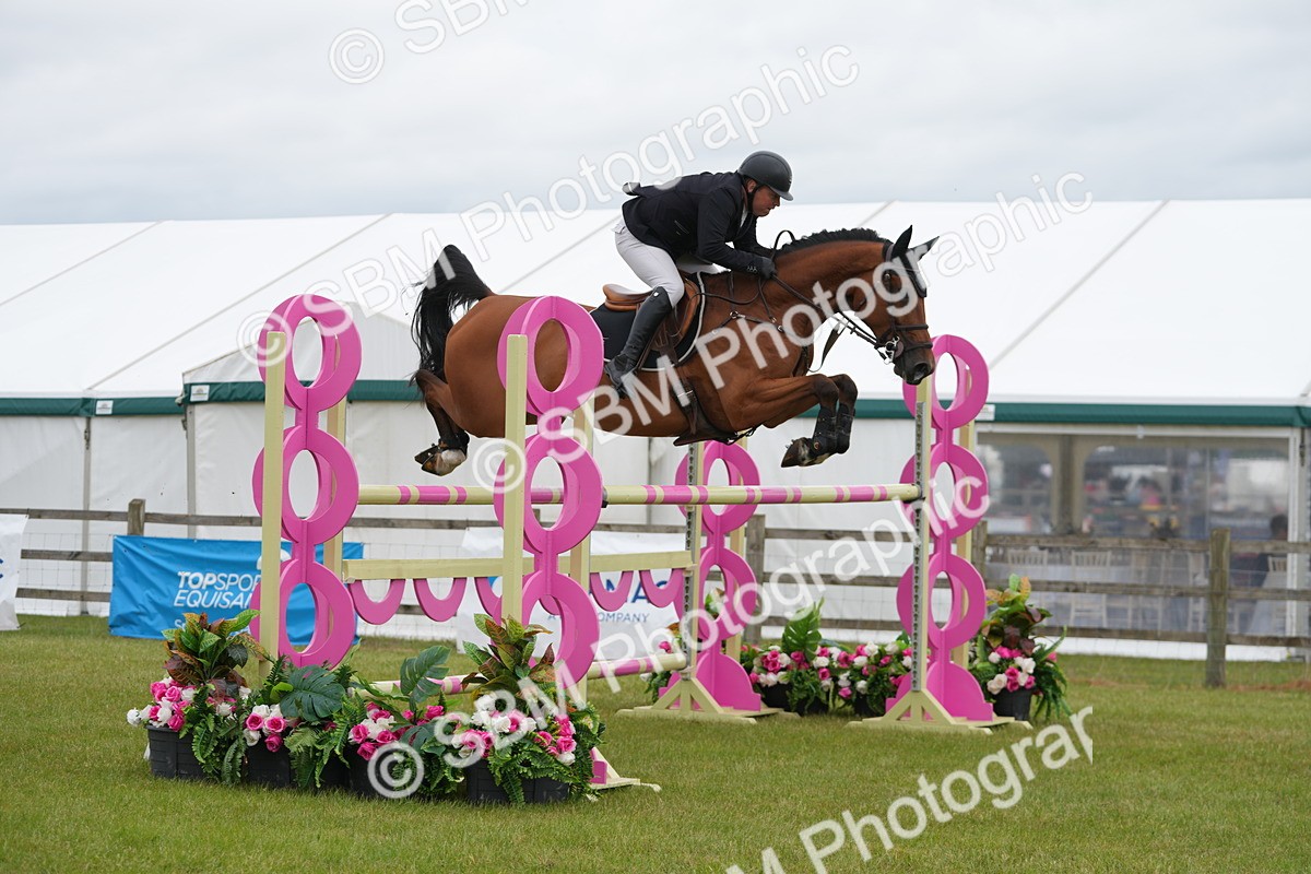 SBM_03114 - Class 201 - British Horse Feeds Speedi Beet Horse of the Year Show Grade  C