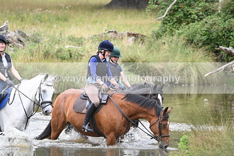 WJ7_2841 - Time at Water 11:37 to 12:13