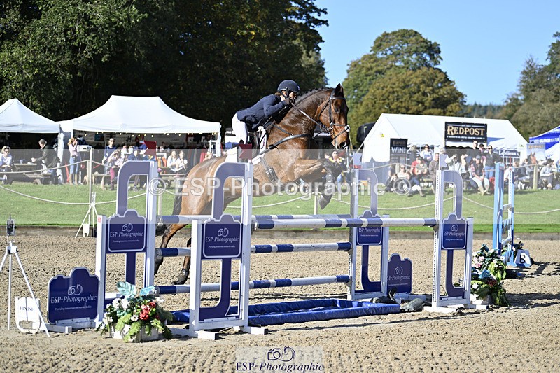 241026-114839-12601 - 053-Lois.Teal-Z7.CATASTROPHE