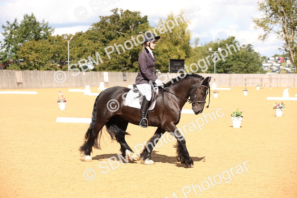 SBM_06719 - D8 Small Tour Championship Prelim 7