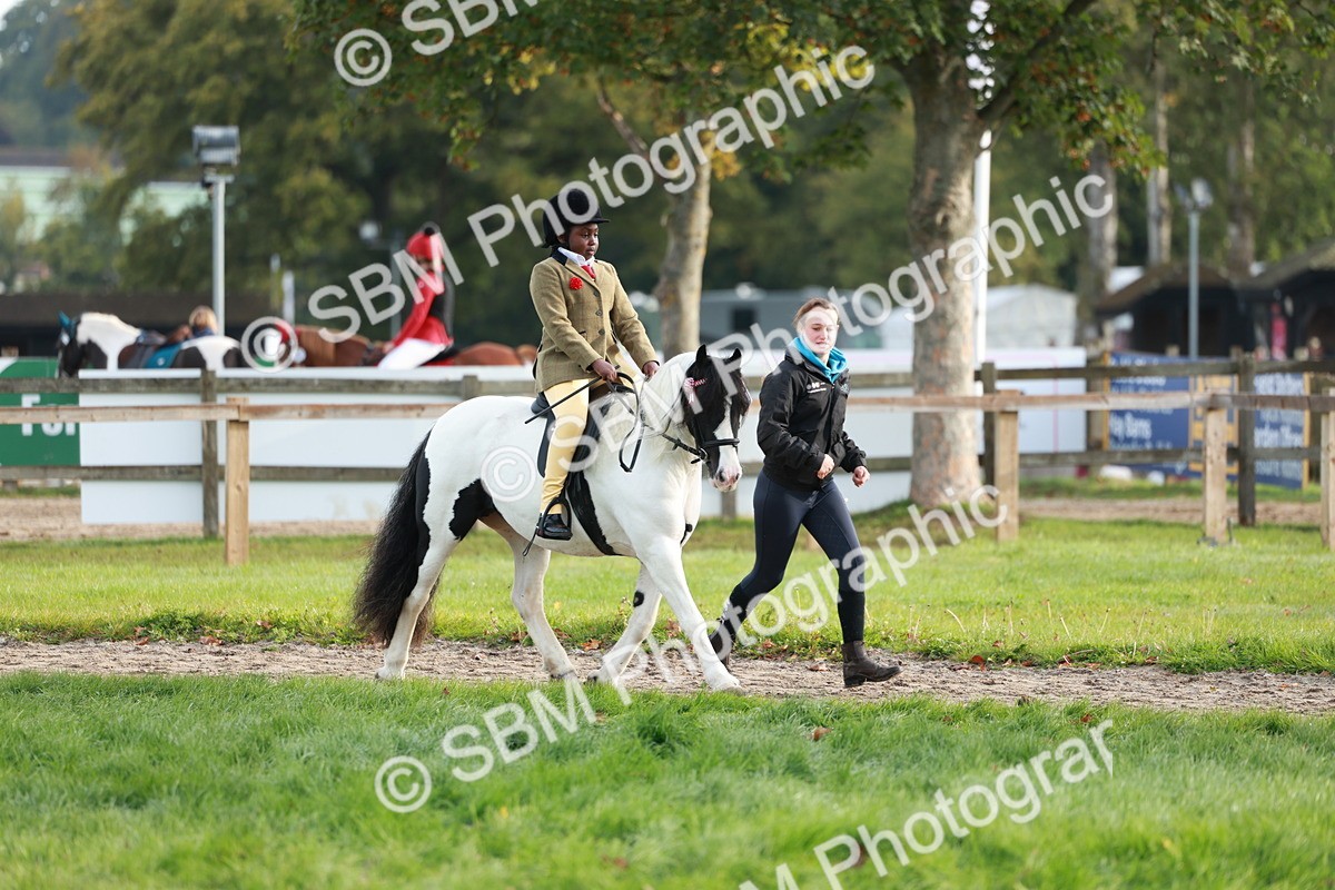 SBM_56312 - S39 - Starters In Hand Showing