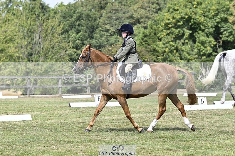 250822A-121212-22621 - DR 11.00 to 12.00