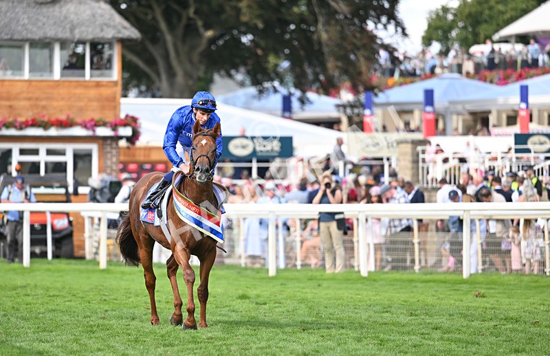 220826-086 Notable Speech - Race 3 15.00pm Sky Bet City Of York Stakes