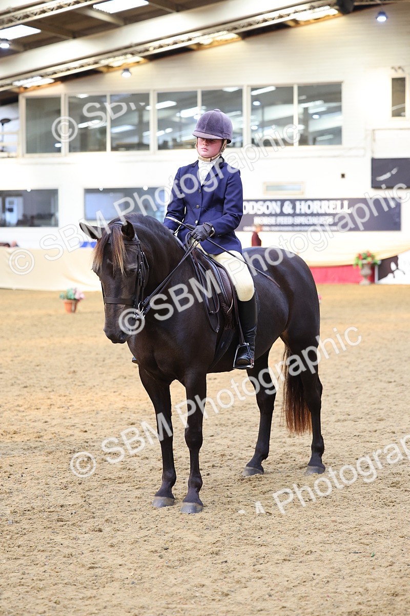 SBM_24590 - Class 906 - Supreme Final - Ridden Pre Vet