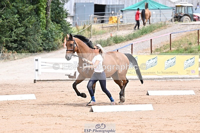 250716-130436-00307 - Trot Up 12.30 to 1.30