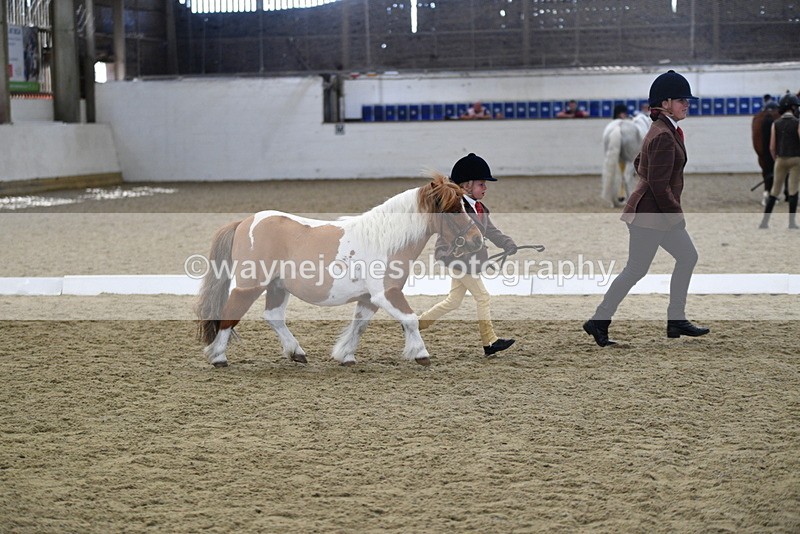 WJ5_4925 - Class 7 In hand coloured / odd coloured