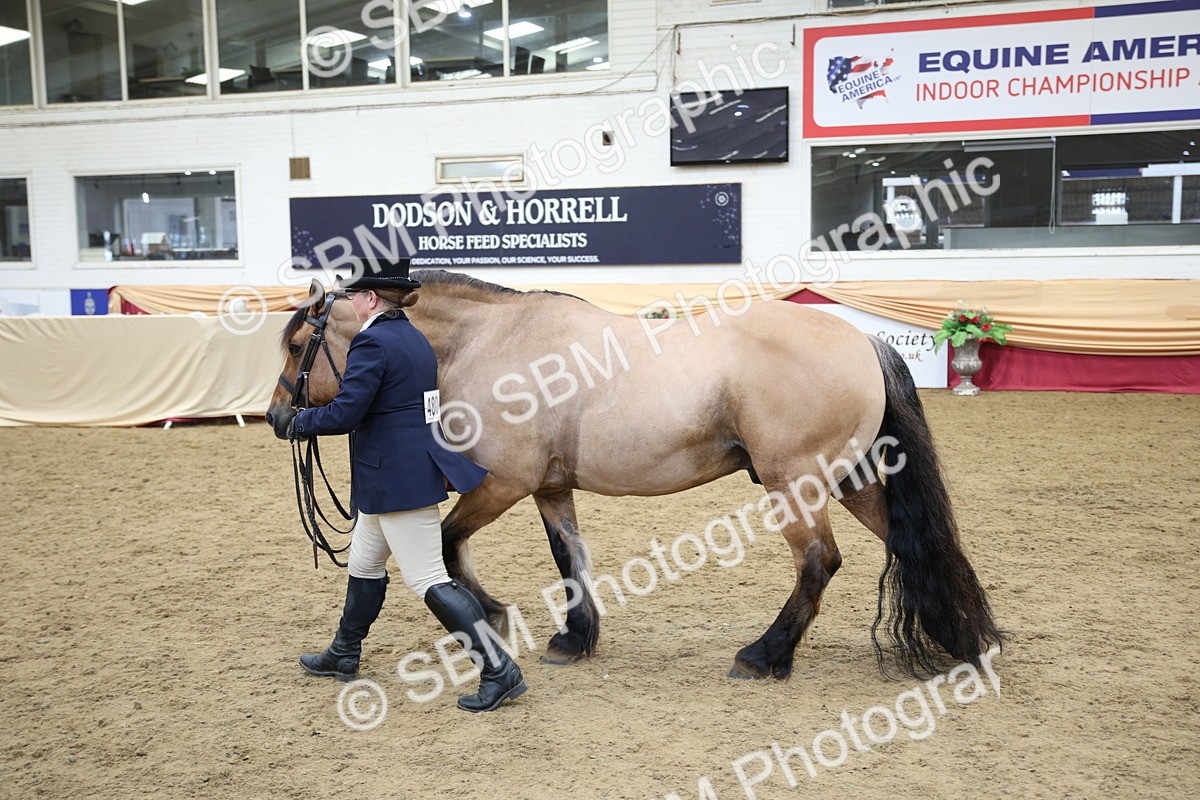 SBM_24726 - Class 906 - Supreme Final - Ridden Pre Vet