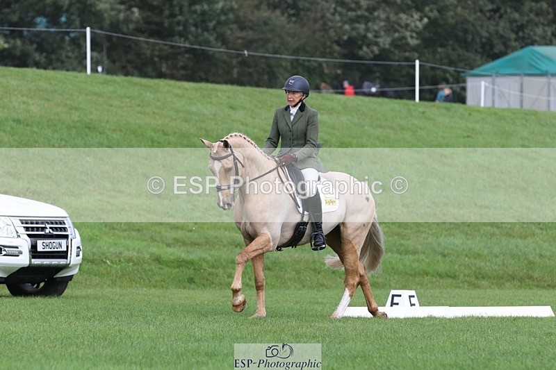 231019-111023-02575 - 612-CORRIEVIEW.MERLIN.MAGIC-Jane.Rogers-DR