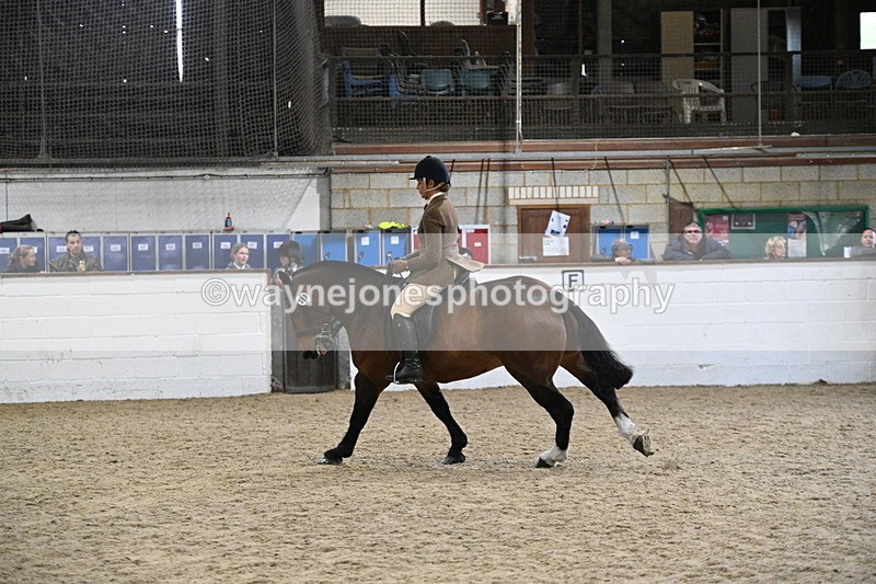 WJ7_4003 - Class 17 Ridden Cob