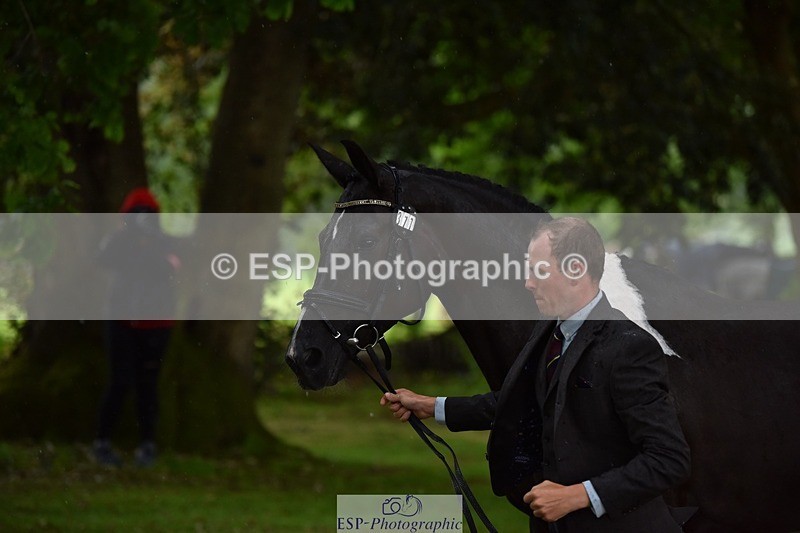 240522-151356-00186 - 377-HONEYBROOK_EXTRA_SPECIAL-Tom_Rowland