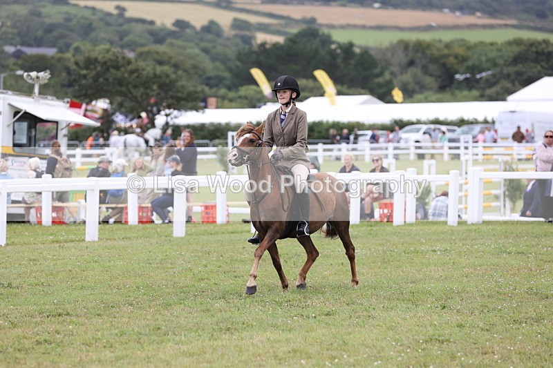 JPP_1703 - Class 18: Tiny Tots Working Hunter Pony