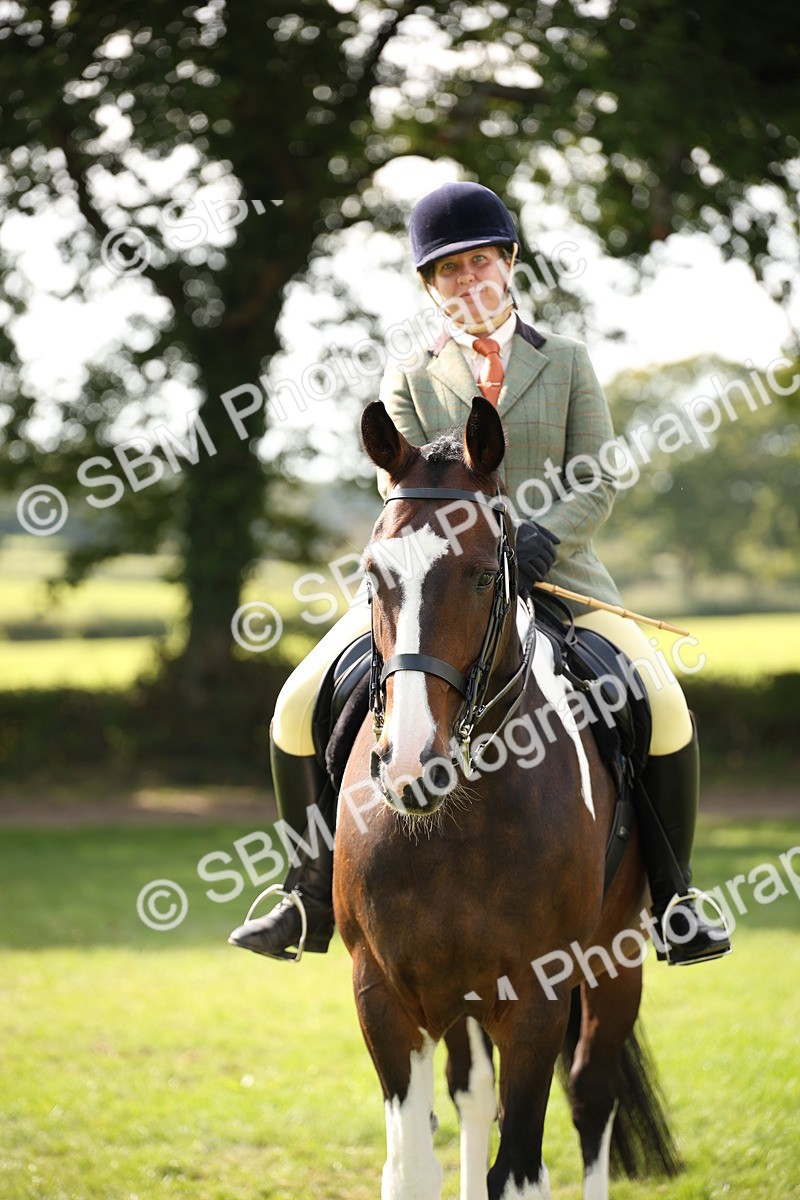 SBM_70142 - S65 - Piebald & Skewbald Horse Ridden