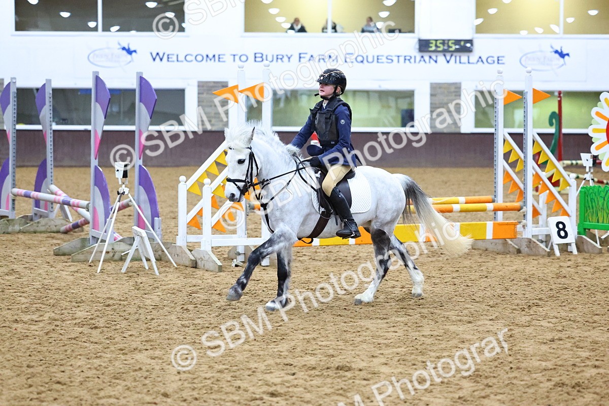 SBM_001397 - Class 3 - Christmas Tree Stakes - 60cm