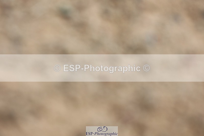 250620-123200-00967 - BD Cls 15 - Freestyle Adv Medium