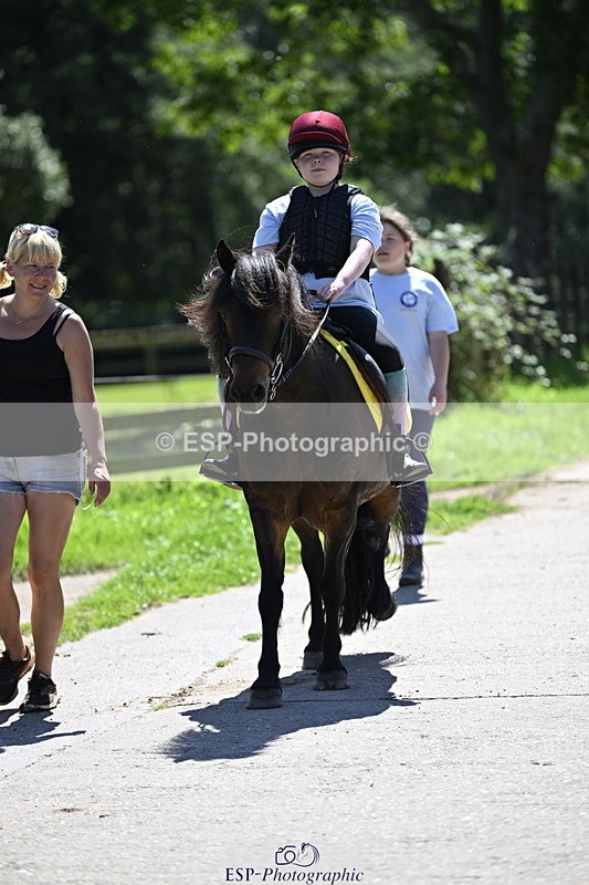 240728B-141748-00503 - Theo and Gemma's Groups Indoor