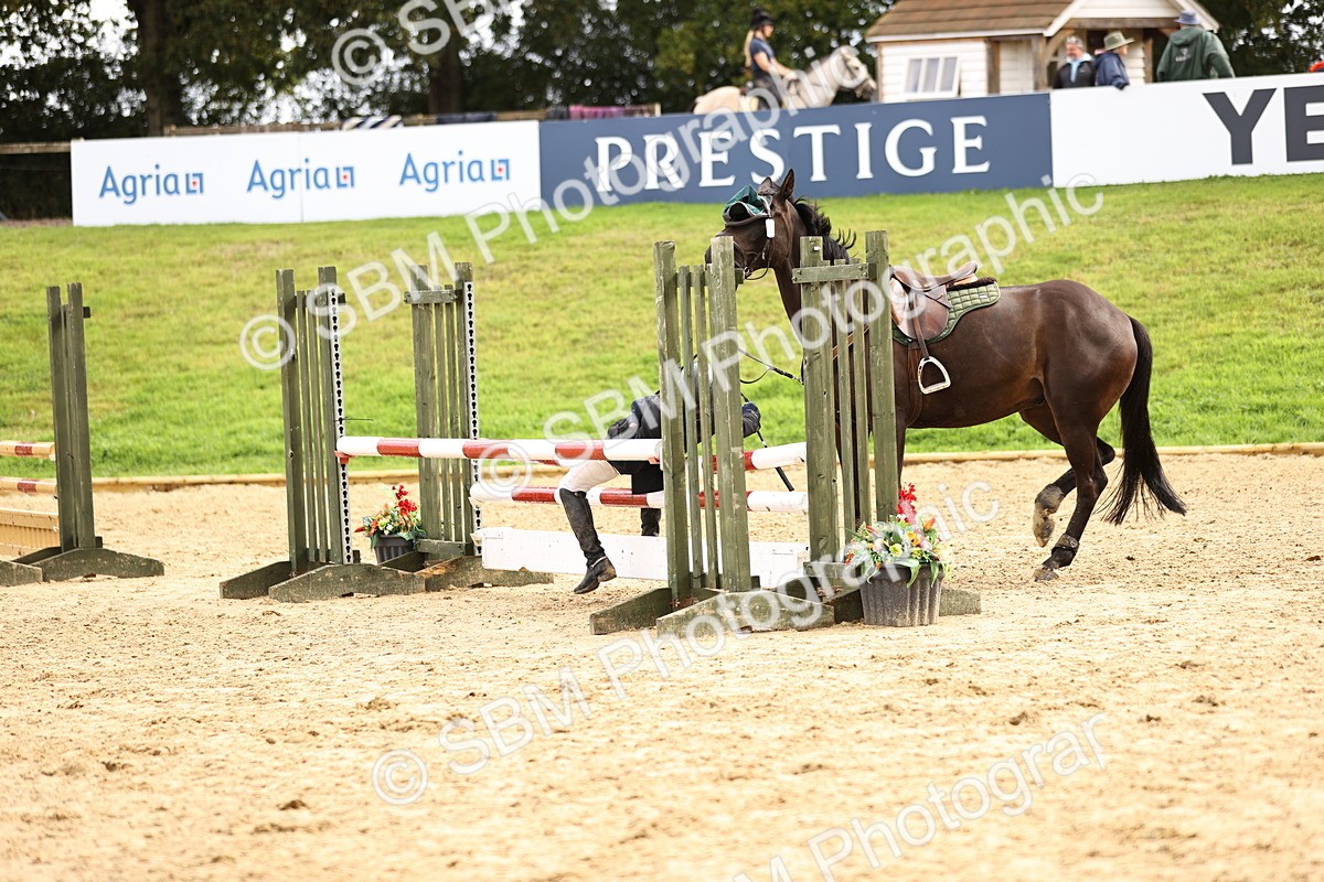SBM_41093 - J40 Senior Horse & Pony 90cm Supreme Championship