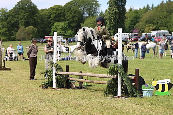 IMG_3164 - Working Hunter