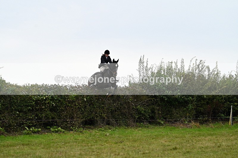 WJ7_4095 - Camera 1 Line 2