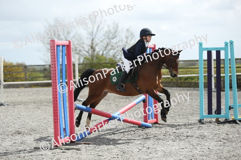 20260412-0754 - Show Jumping