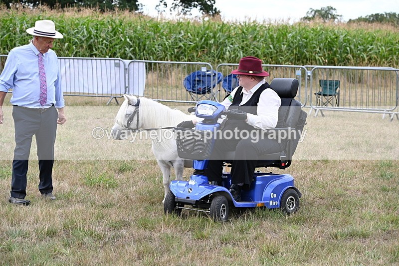 WJ6_6025 - Class 19 In-hand Veterans (Uploaded correct folder)