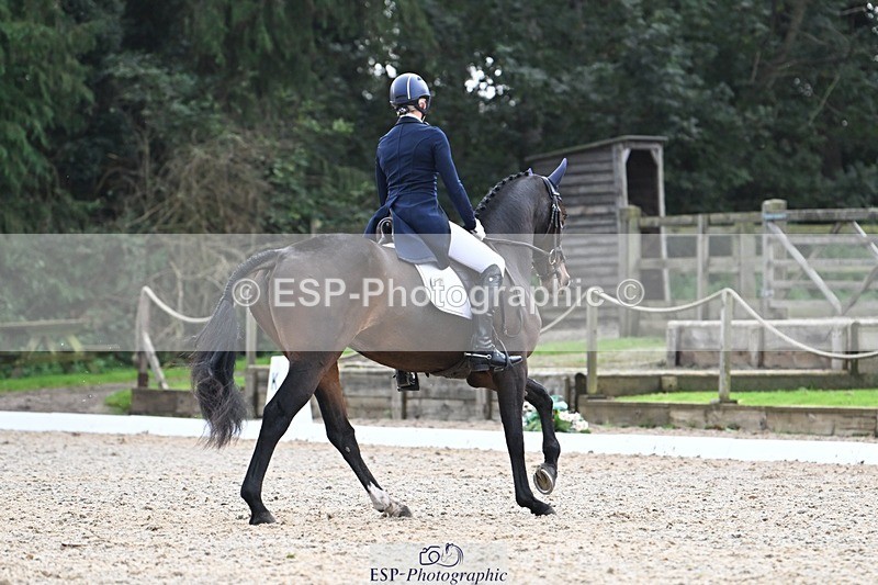 231019-145235-04295 - 057-OVERTON.TILANA'S.GOLD-Claire.Deuten-DR