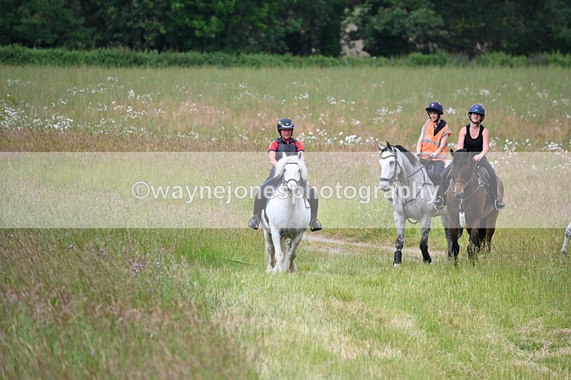 WJ6_8028 - Camera 1 Gallops