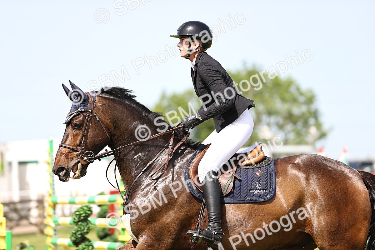 SBM_03220 - Class 201 - British Horse Feedds Speedi Beet HOYS Grade C