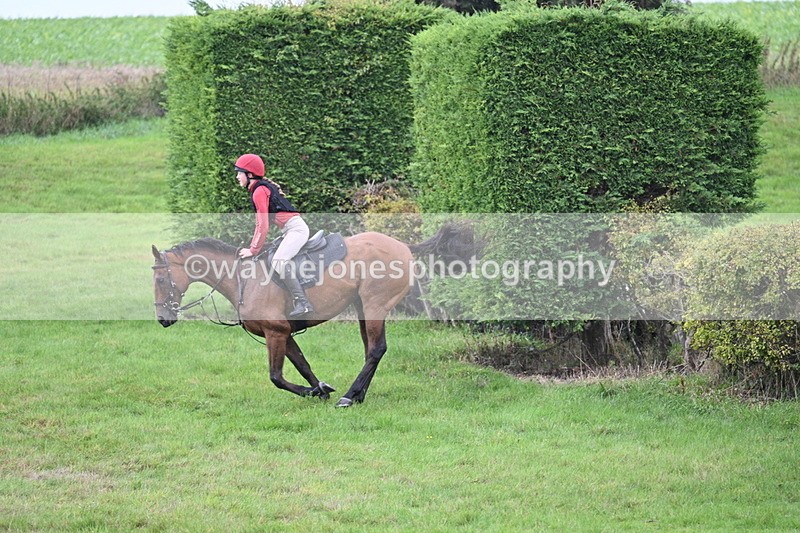 WJ7_9211 - Time 14:01 to 14:20