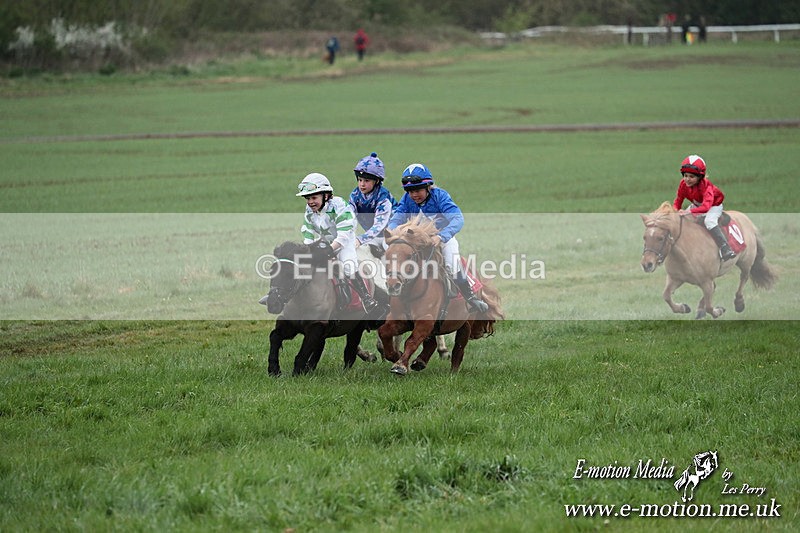 SHETPR 210425 164 - Shetland Ponies Paxford Races 21/04/25