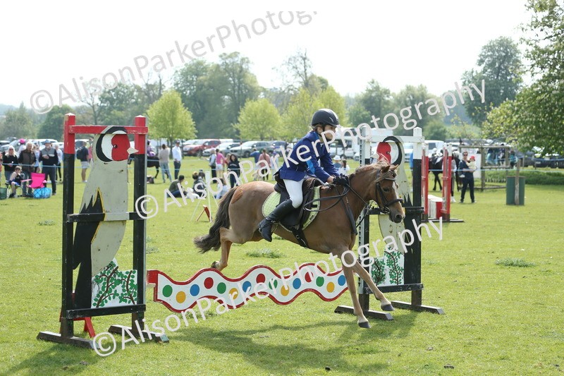 20260426-1581 - Class 14 - Novice 60cm