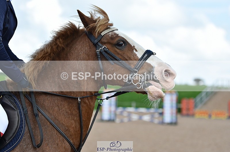 230902A-143220-01773 - Cls 3B Pony Medium 90cm