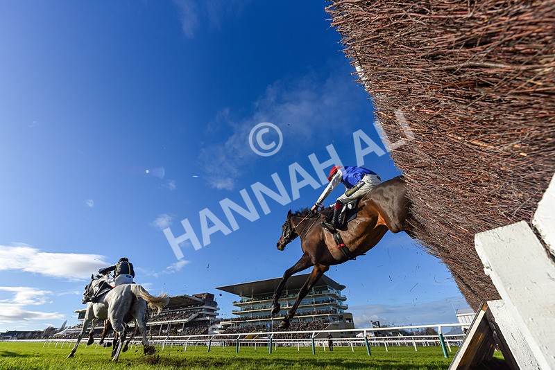 141224-Race 3-Regal Renaissance-9360 - Race 3