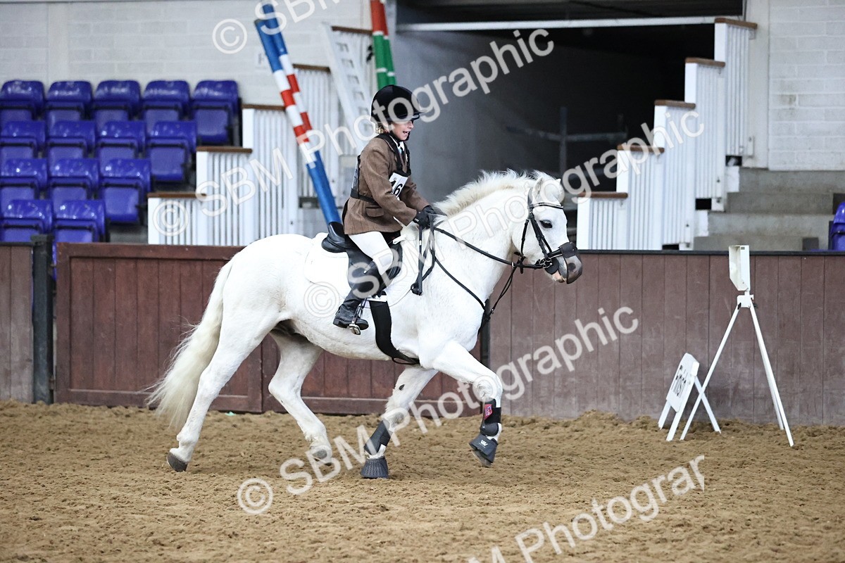 SBM_000277 - Class 2 - The Rug Lady 40cm Area 12 Championship Qualifier