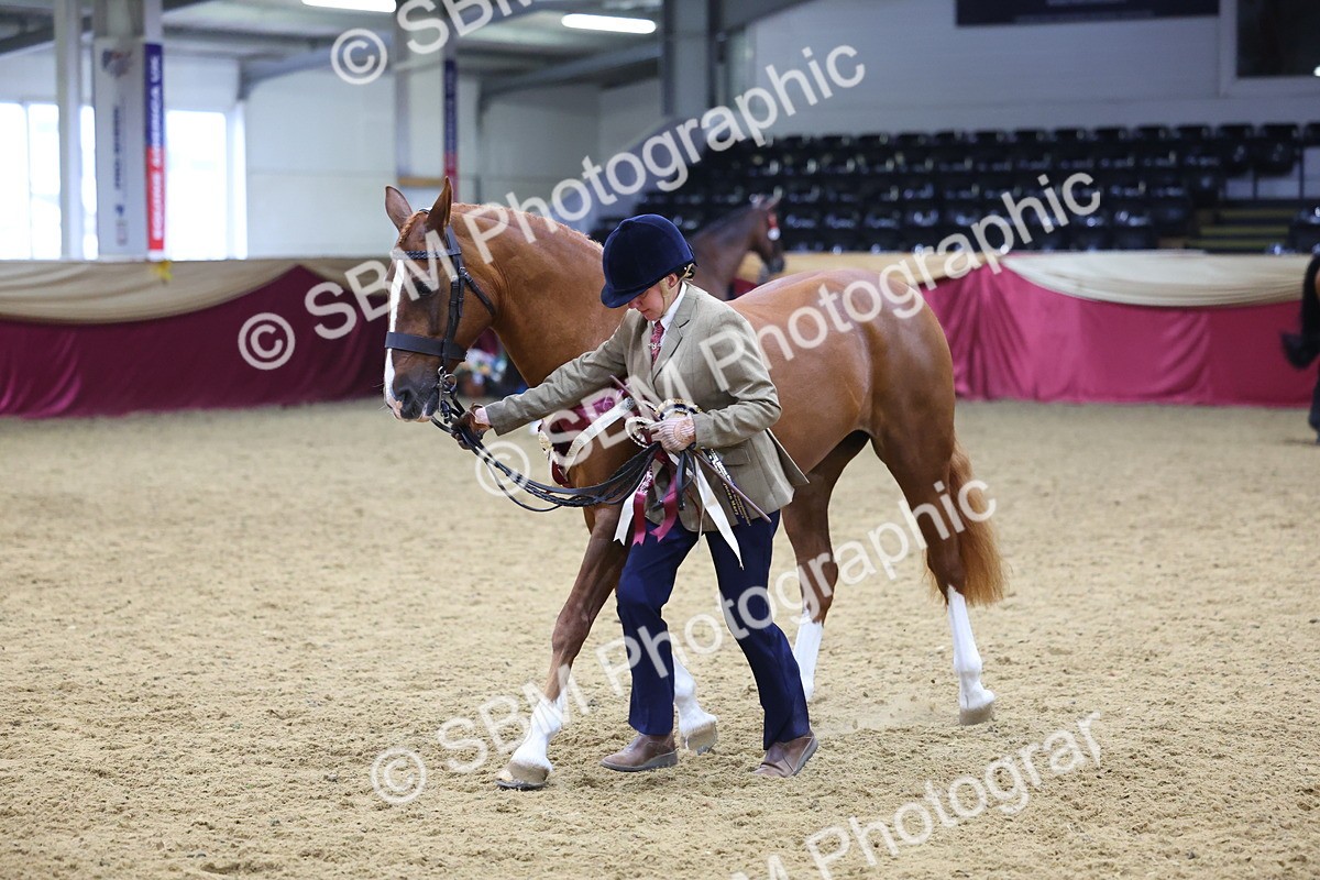 SBM_19824 - Class 901 - Supreme Final - IH Diamond