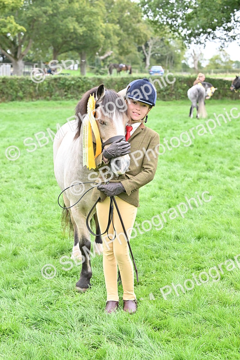 SBM_61074 - S48 - Mountain & Moorland In Hand Small Breeds