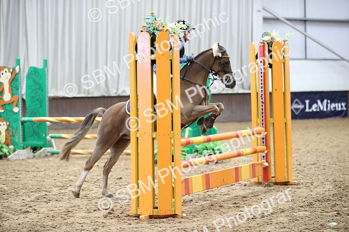 SBM_003452 - Class 11 - Springboard 128cm 138cm Restricted 85cm 95cm