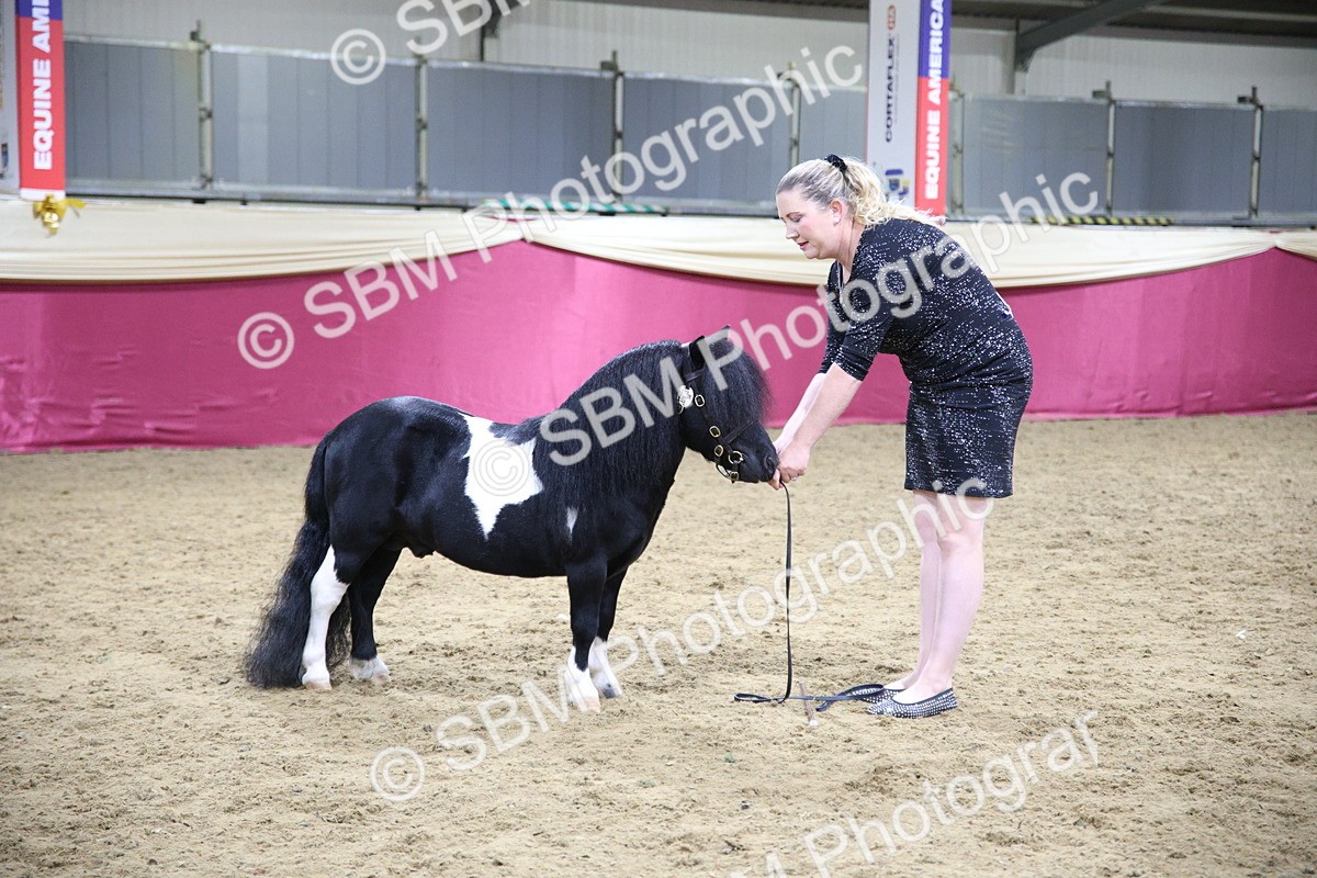 SBM_19258 - Class J Coloured Champ