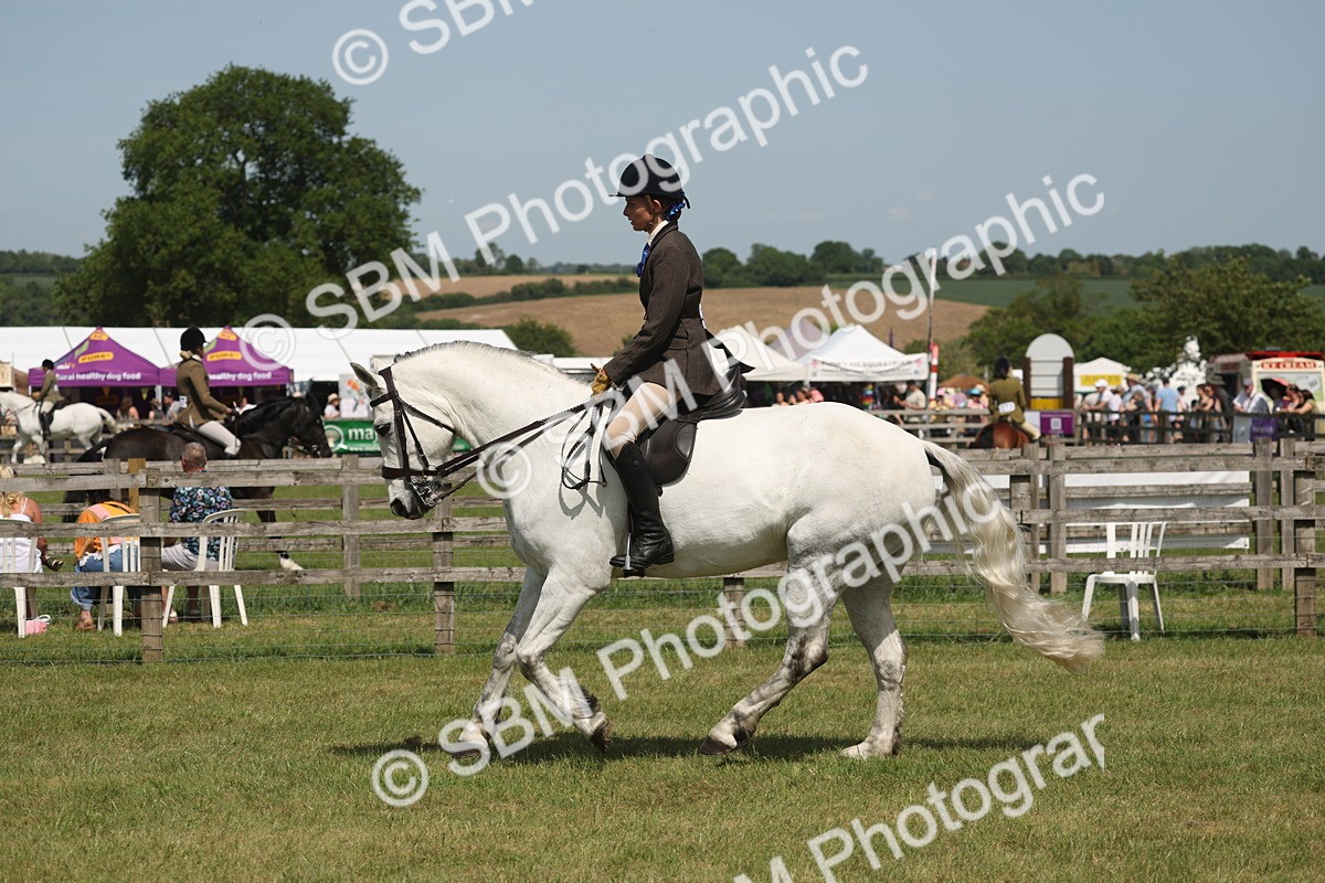 SBM_07619 - Class 26-30 - Mountain and Moorland Ridden