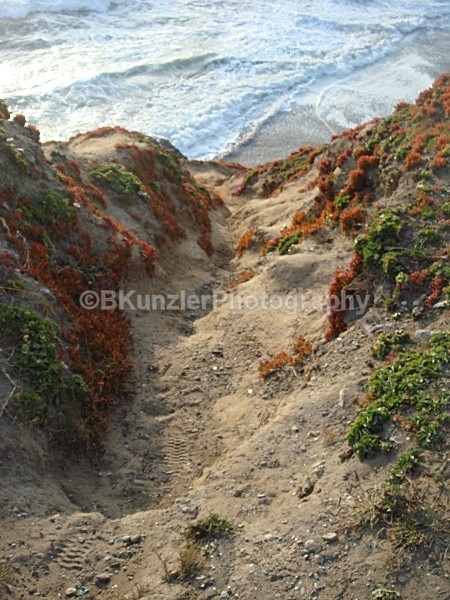  - San Francisco Coast