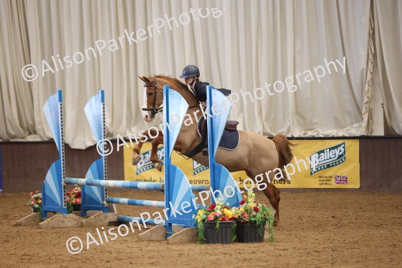 20260314-3781 - 80cm