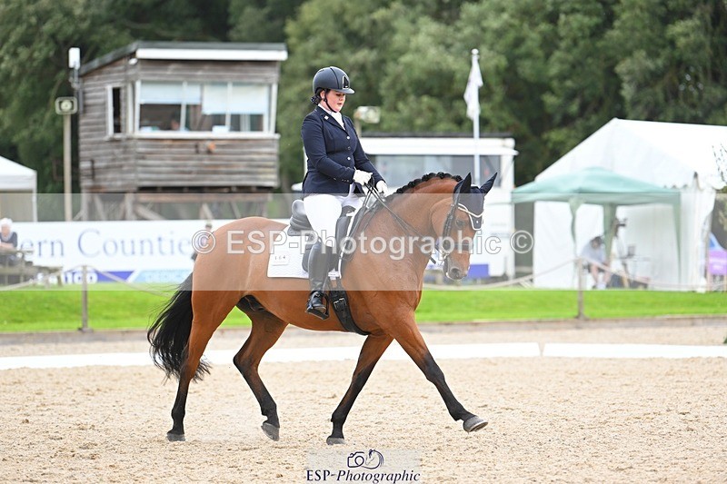 230813-132043-07538 - Cls 13 Medium Bronze 13.15 to End