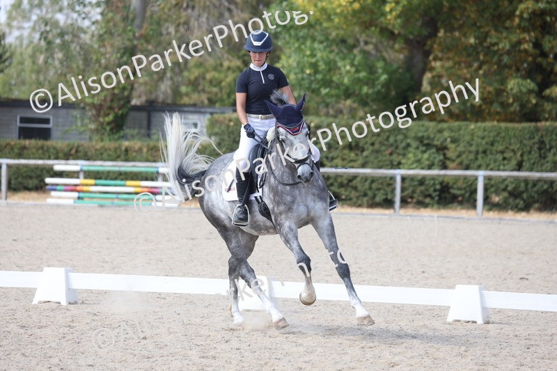 20260815-1015 - Class 5 - Novice 1