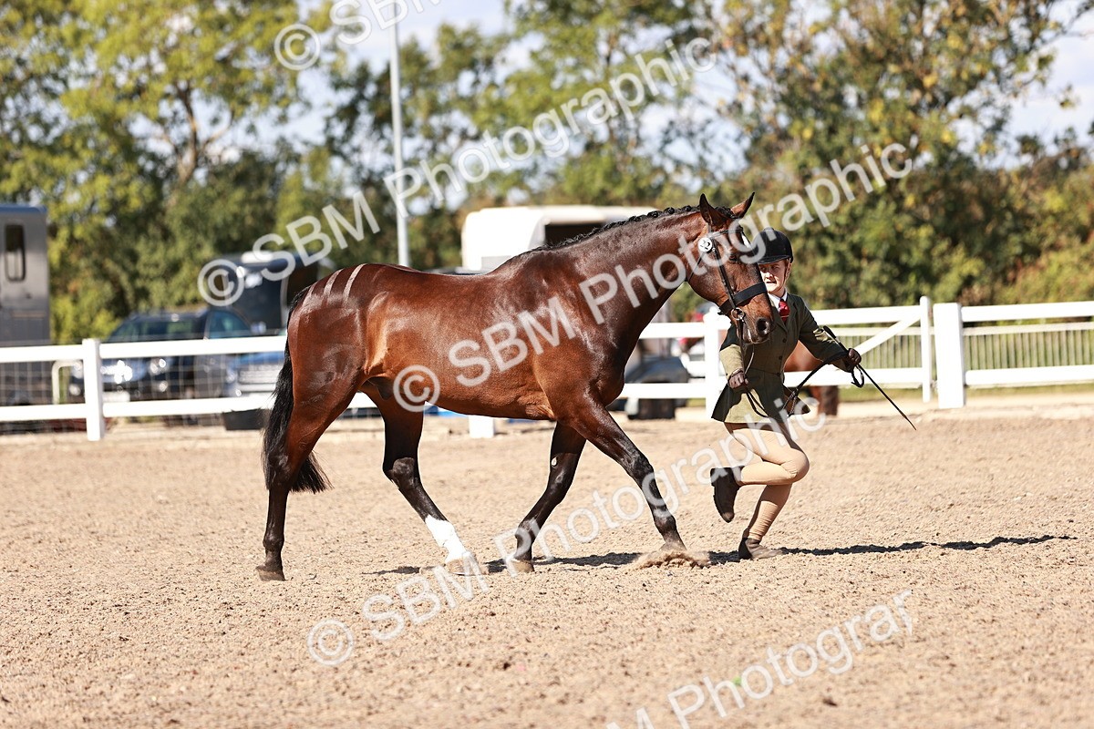 SBM_13277 - class 406 - IH Hunter