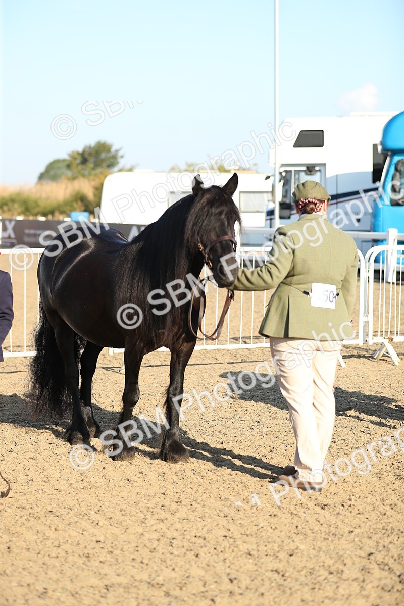 SBM_00002 - Class 40 Best Turned Out IH