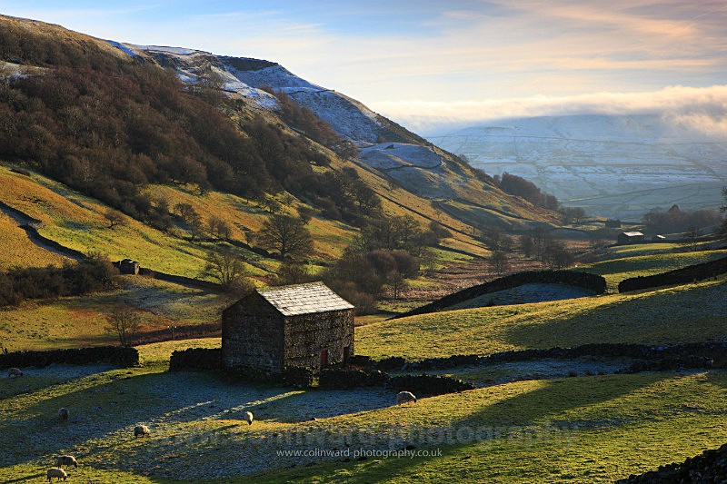 Upper Swaledale.      ref 4558 - The Pennines and Cumbria