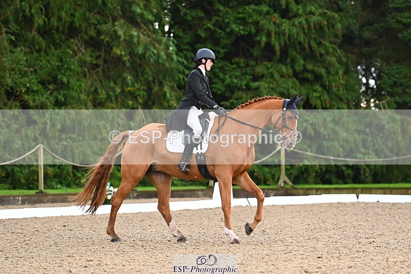 231021-092141-12511 - 223-RASCAL.ROULETTE-Charlotte.Byrnes-DR