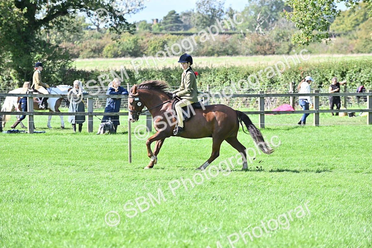 SBM_44562 - S13 - Pony Club Pony