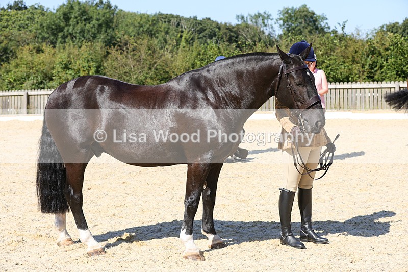 1X9A8072 - Class 11: Open Cob